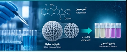 طراحی و ساخت حسگر هوشمند برای تشخیص سریع و حساس آنتی‌بیوتیک آمپی‌سیلین در دانشگاه علوم پزشکی مشهد